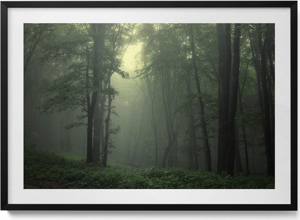 Nebliger Wald am Morgen– Wandbild mit Rahmen – Gerahmtes Bild – Wanddekoration – 100x70 cm – Schwarz Rahmen