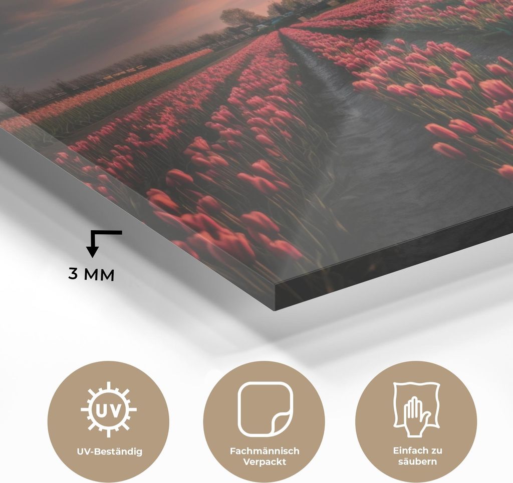 MuchoWow Glasbilder - Bilder auf Wandbild - Foto auf Glas Mühle - Sonnenuntergang - Tulpen - Rot 60x40 cm Wanddekoration aus Glas - Acrylglasbild ...