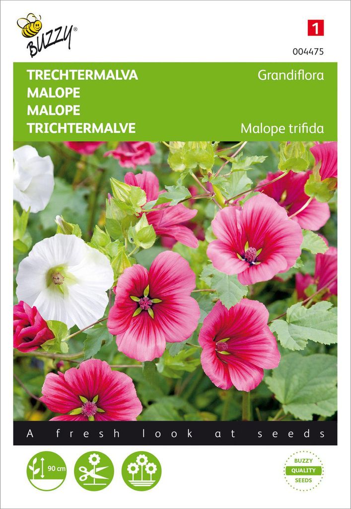 Trichtermalve Grandiflora Mischung | Malvensamen von Buzzy Seeds