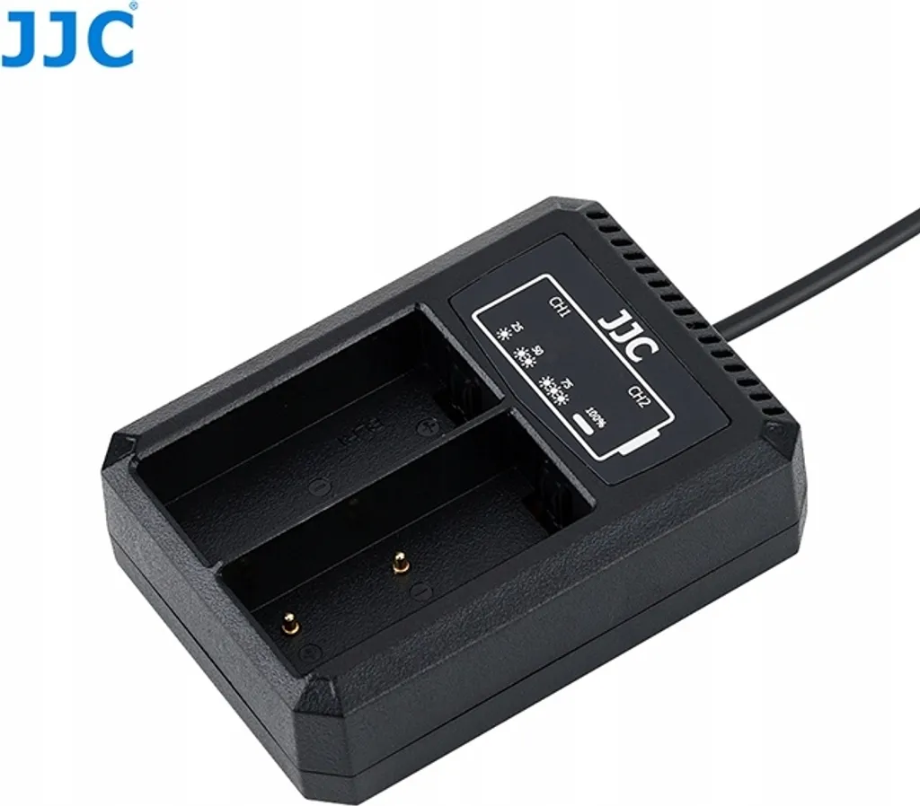 Chargeur de voyage double USB pour Olympus BLH-1 : Idéal nomade