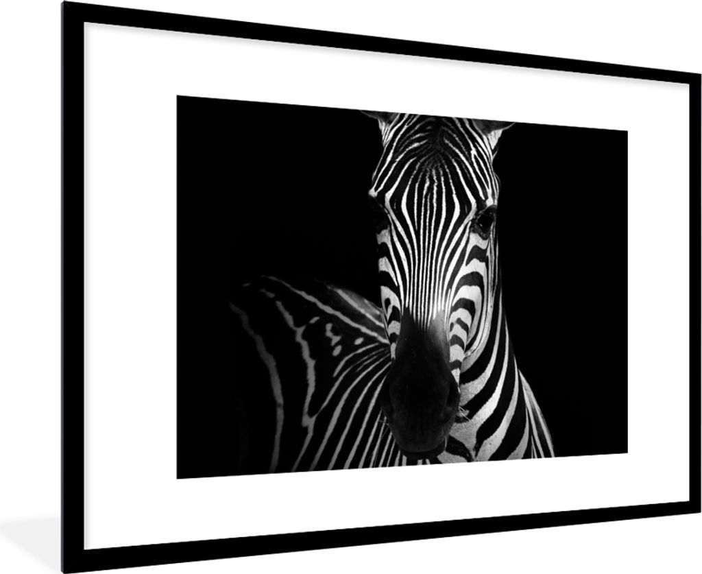 MuchoWow Gerahmtes Poster Zebra - Schwarz - Weiß - Tiere 90x60 cm - Poster mit Schwarzem Bilderrahmen Wandposter Rahmen Foto Bilder - Wanddekora...