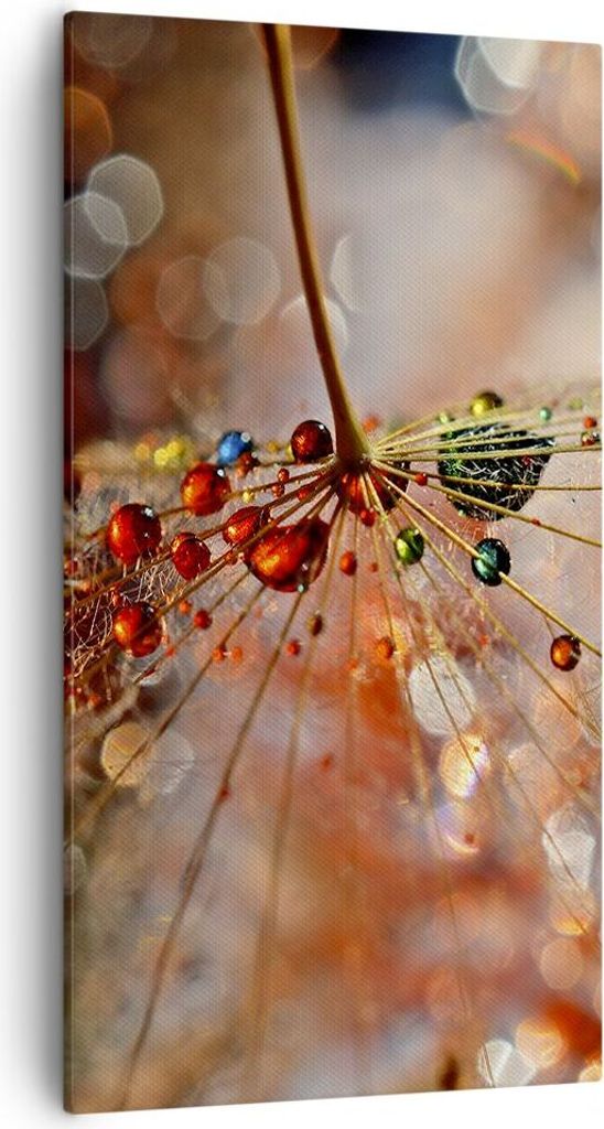 Bild auf Leinwand - Leinwandbild - Spinnennetz modern - 55x100cm - Wand Bild - Wanddeko - Leinwanddruck - Bilder - Kunstdruck - Wanddekoration - Le...