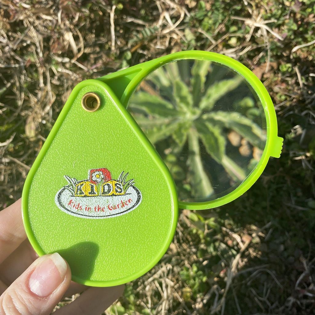 Loupe pour enfants Image du produit 