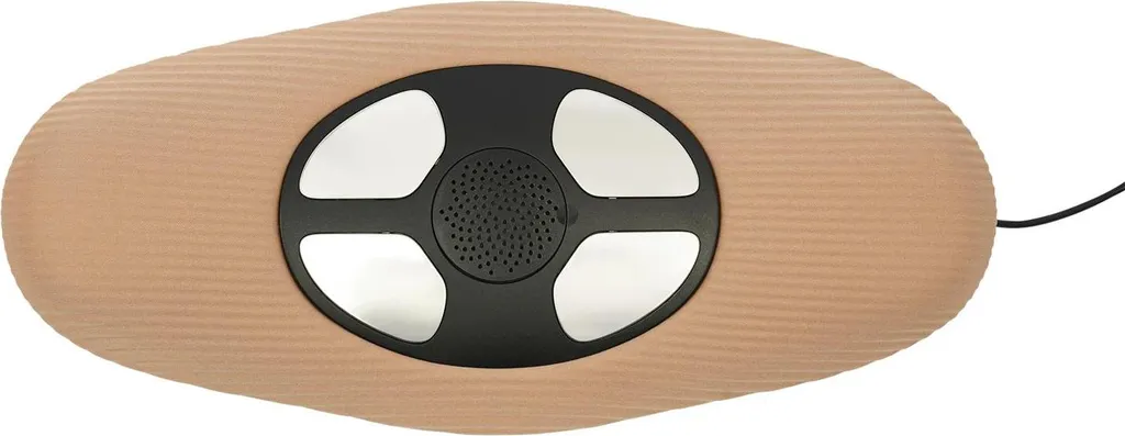 Coussin massage lombaire Braun pression d'air réglable télécommande filaire