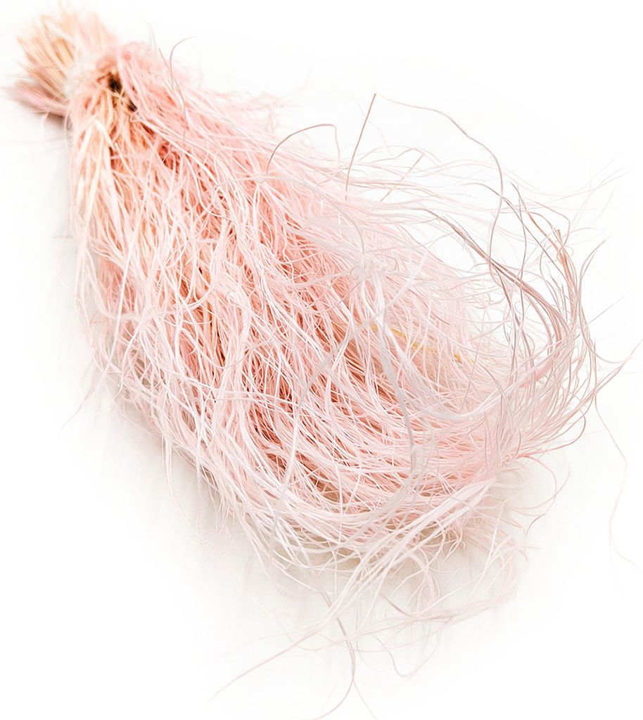 Federgras Getrocknete - (Stipa pennata) - Rosa Produktbild 