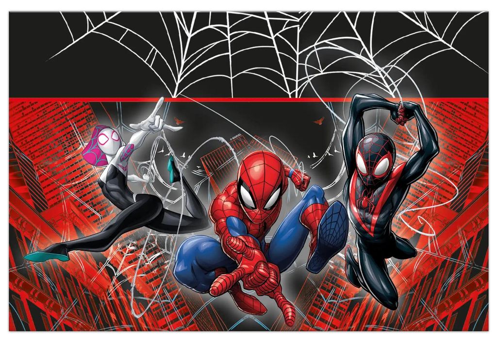 "Spider-Man World Of Webs" - Feestdecoratie, variant: Productafbeelding 