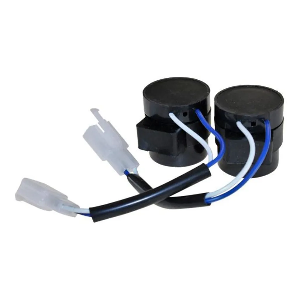 Relè Intermittenza Frecce 12V 2 Pin per Scooter QMB Baotian e Rex