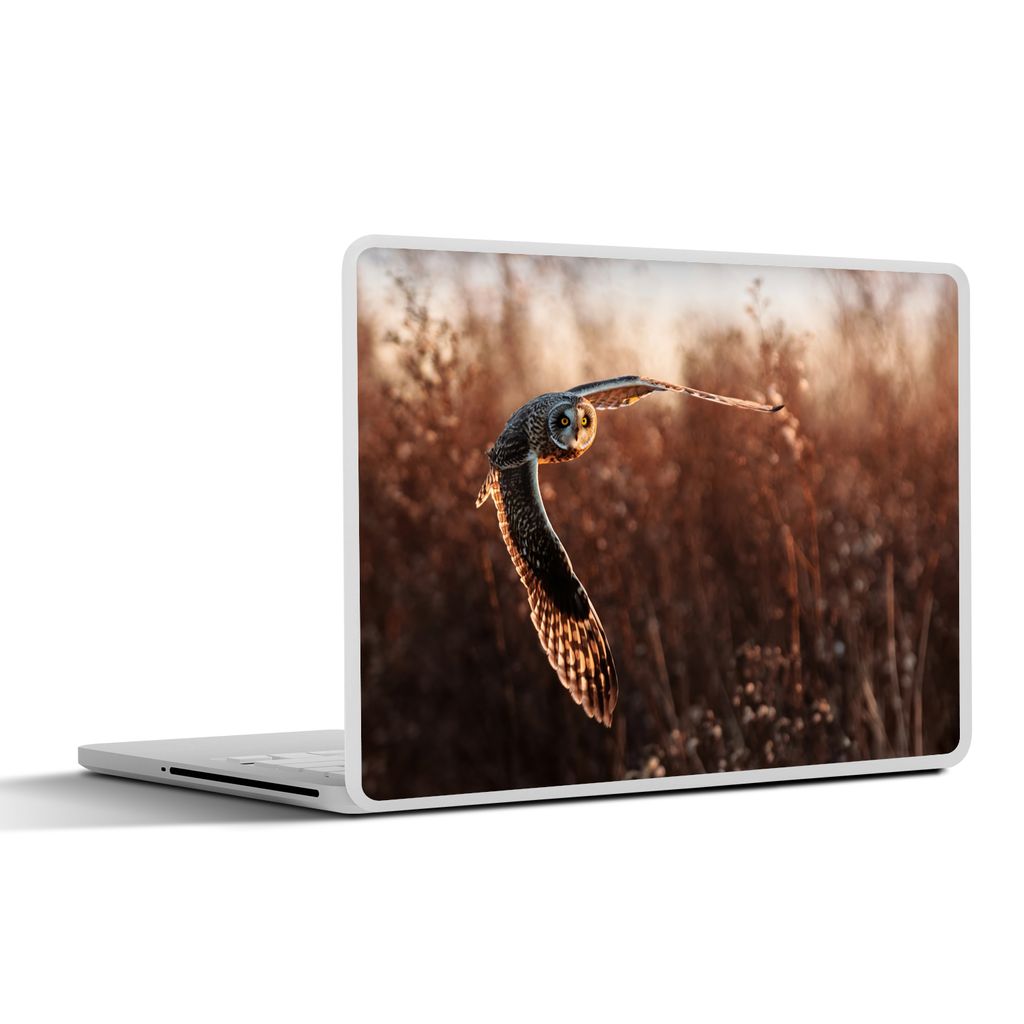 MuchoWow Laptop Aufkleber Sticker Cover Vogel - Eule - Sonnenuntergang - Natur 36.5x27.5 cm - Laptop-Sticker