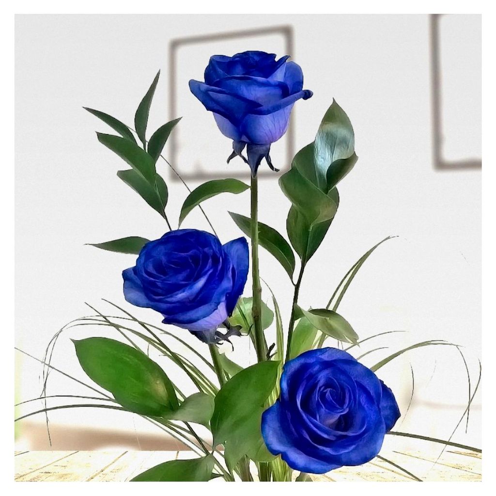 Drei blaue Rosen - Rosenstrauß mit langstieligen Rosen, Ruskus und Gräsern - Inklusive Vase und Grußkarte