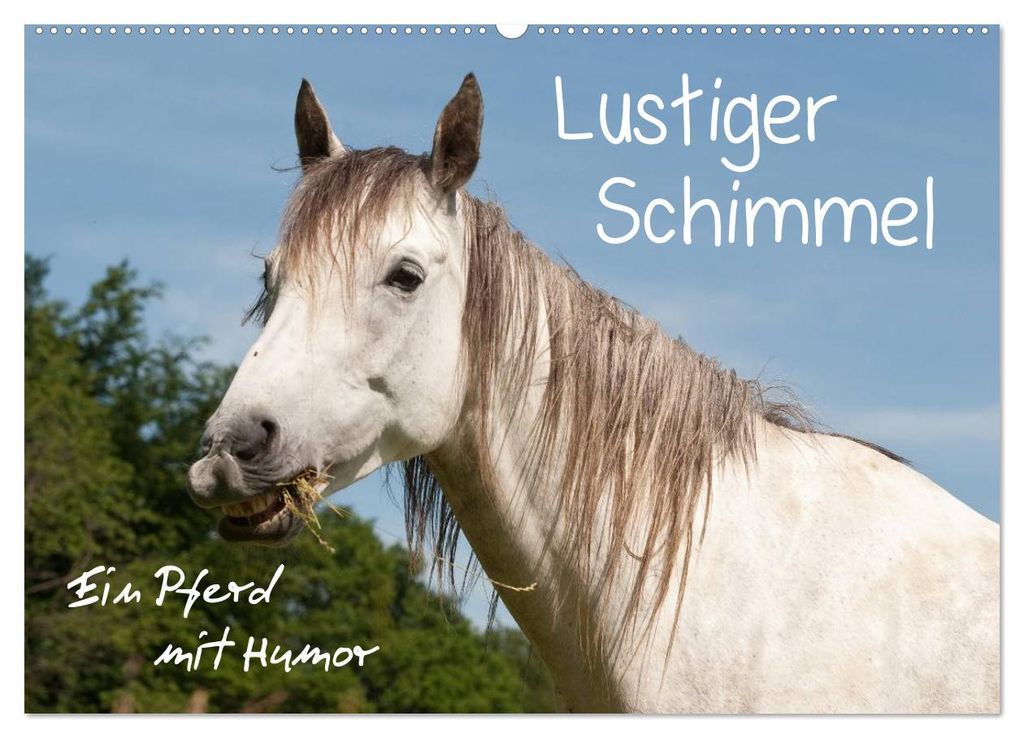 Lustiger Schimmel - ein Pferd mit Humor (Wandkalender 2027 DIN A2 quer), CALVENDO Monatskalender