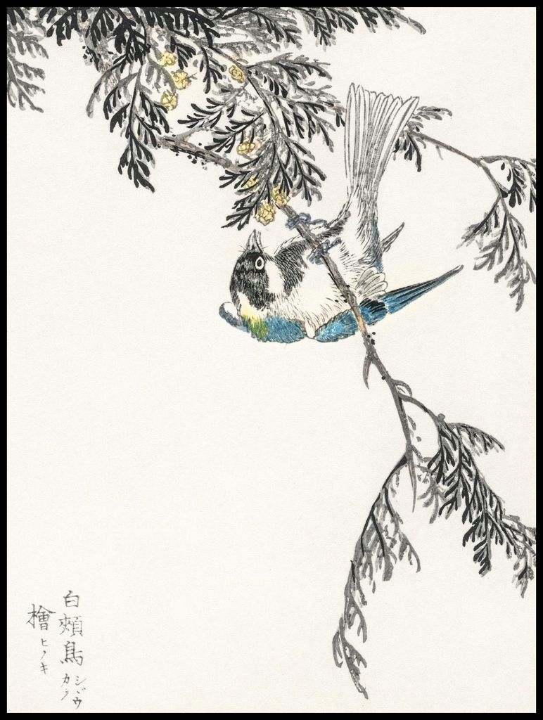 Plakat 75x100cm Kohlmeise, Japanischer Kashu Vintage für das Wohnzimmer