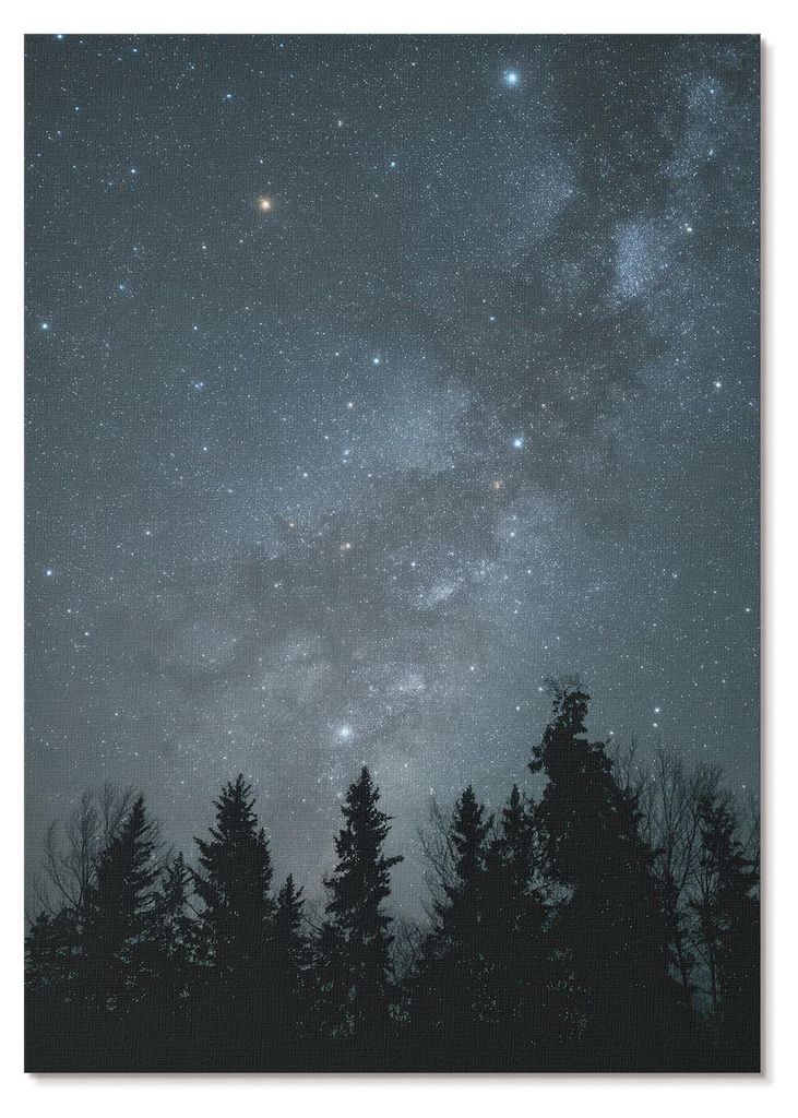 POSTER - 59x84 cm (A1) - Fanatyk - Ein Nachthimmel voller Sterne und Baumsilhouetten - Wandbild für Wohnzimmer Schlafzimmer & Flur, Modernes Poste...