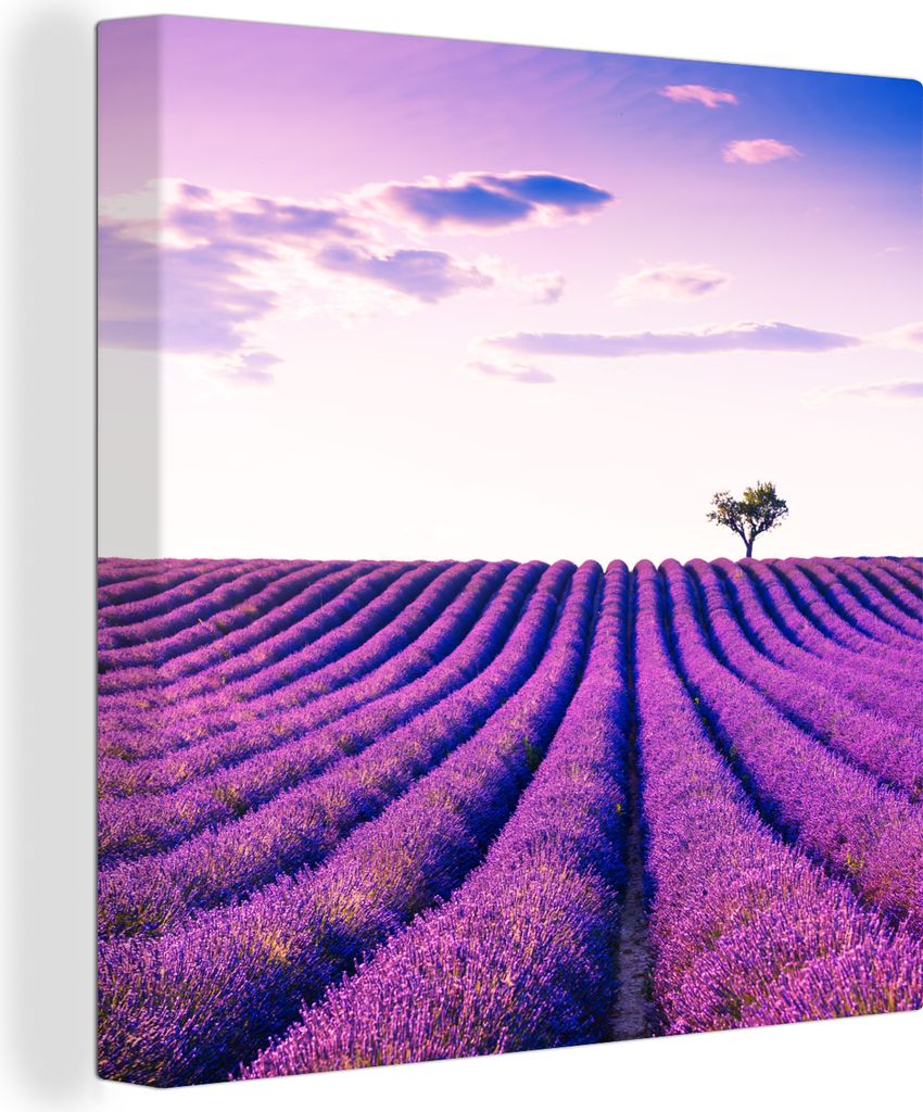 OneMillionCanvasses - Leinwandbilder - Bild auf Leinwand Wandbild Leinwandbild Lavendel - Bäume - Lila - Blumen, 20x20 cm, Kunstdruck Wandkunst ...
