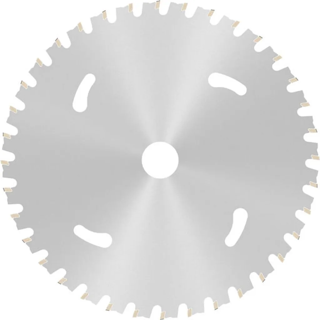 Lama Circolare Acciaio Bosch 173mm - 36 Denti - L'originale