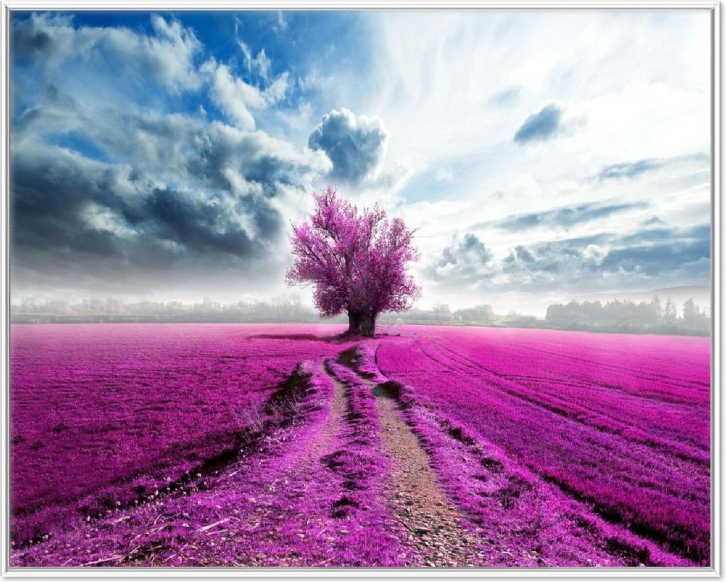 Wallario Wandbild Surreales Blumenfeld lila Blumen auf dem Feld, Größe: 40,30 x 50,30 cm, Poster mit weißem Aluminiumrahmen