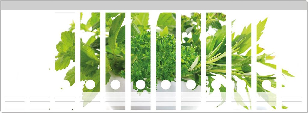 Wallario Ordnerrücken Sticker, selbstklebend für breite Ordner, 12 Stück, Motiv Welt der Kräuter - verschiedene Kräuter in einem weißen Mörser