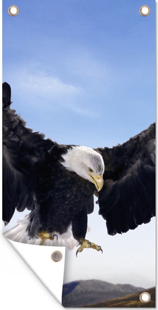 MuchoWow 30x60 cm Outdoor-Poster Gartendeko Sichtschutz Garten Poster für den Garten Ein amerikanischer Weißkopfseeadler will landen