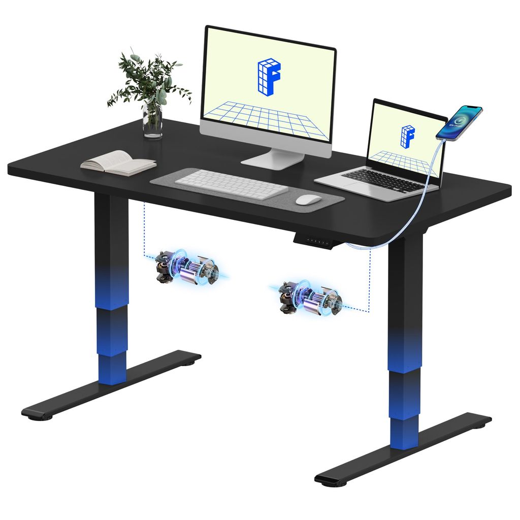 FLEXISPOT E5 Höhenverstellbarer Schreibtisch 120x80cm, Doppelmotor, 25MM EINTEILIGE TISCHPLATTE, USB-Anschluss, 120KG Tragkraft, Schwarz