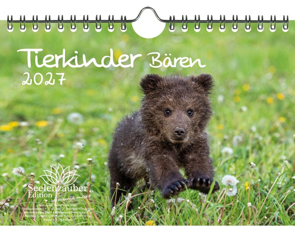 Tierkinder Bären DIN A5 Kalender für 2027 Bären - Seelenzauber