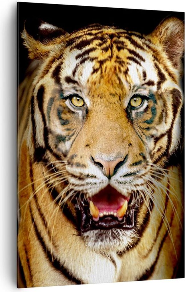 Bild auf Leinwand - Leinwandbild - Einteilig - tiger tier - 80x120cm - Wand Bild - Wanddeko - Wandbilder - Leinwanddruck - Kunstdruck - Wanddekorat...
