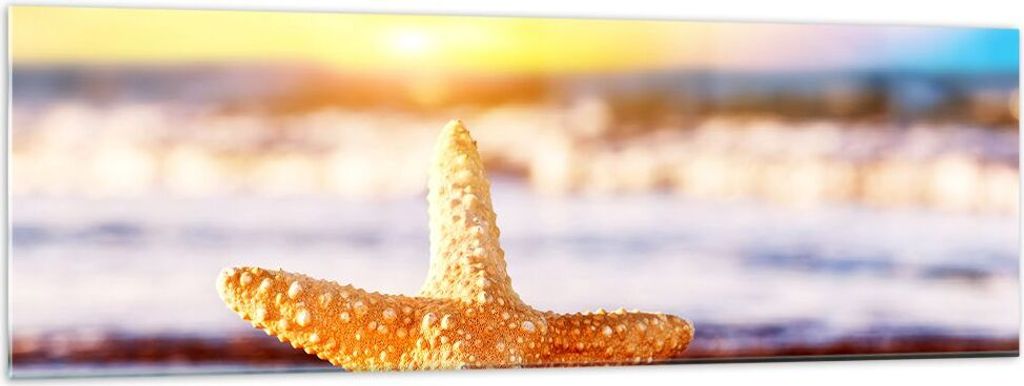Bilder auf glas - Starfish Strand Sand Ozean - 160x50cm - Glasbilder - Wandbilder - Kunstdruck - zum Aufhängen bereit - Wanddekoration aus Glas - ...