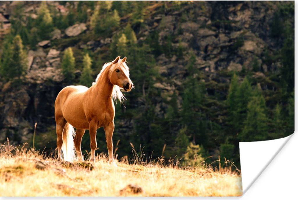 MuchoWow Poster Haflinger Pferd in den Bergen 90x60 cm - Schlafzimmer