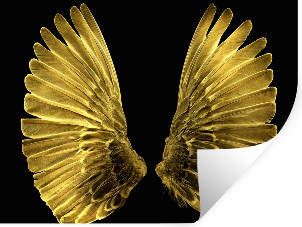 MuchoWow Wandtattoo Wandsticker Wandaufkleber Goldene Flügel auf schwarzem Hintergrund 40x30 cm Selbstklebend und Repositionierbar - Faltenfrei