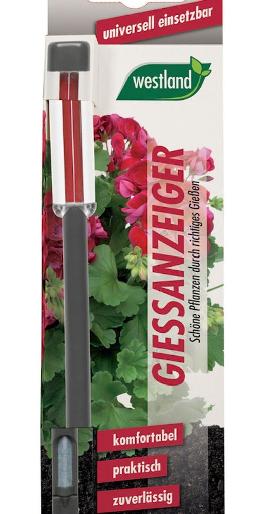 Westland Gießanzeiger klein anthrazit 16 cm Produktbild 