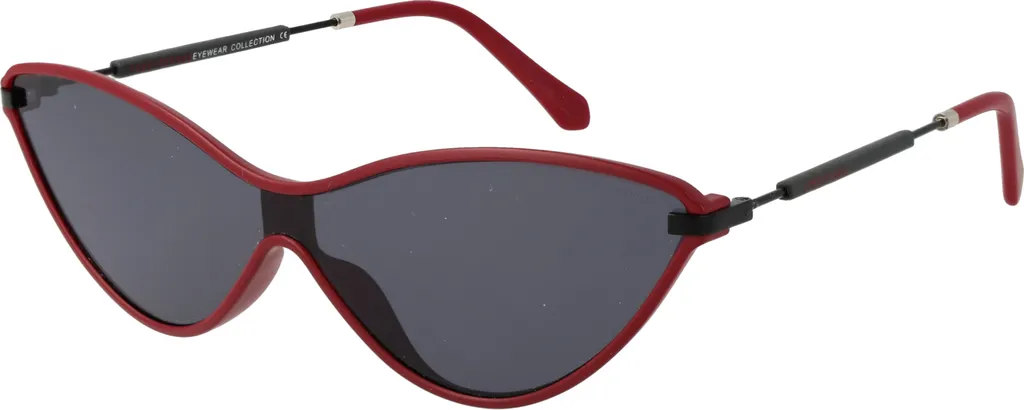 Lunettes de soleil Funky Buddha FBS2011 protection UV400 verres fumés