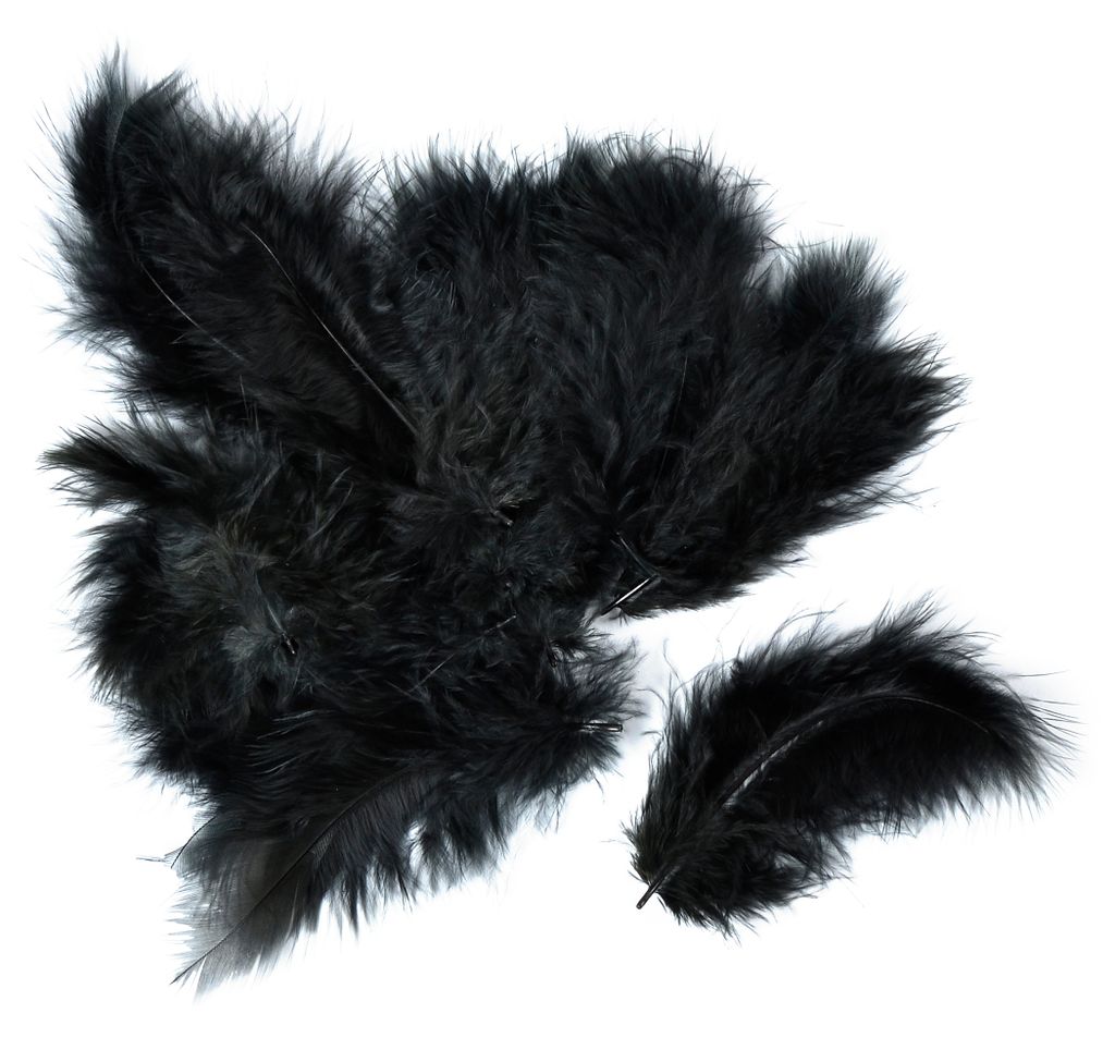 Piume Meyco Marabu in nero 17 pezzi lunghi circa 10-12 cm Immagine del prodotto 