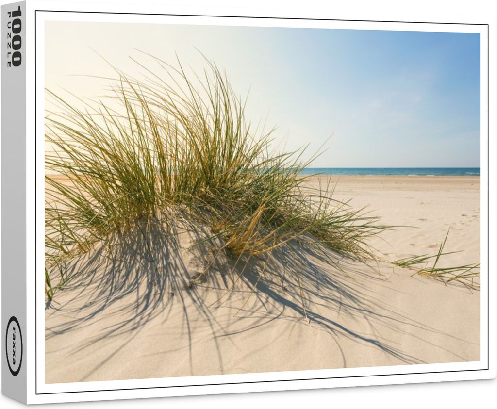 raxxa Premium-Puzzle "Strandhafer im Sonnenlicht", 1000 Teile