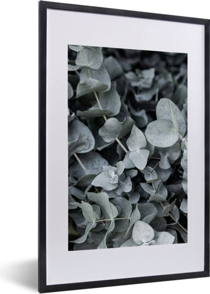 MuchoWow Gerahmtes Poster Natur - Pflanzen - Eukalyptus - Blätter 40x60 cm - Poster mit Schwarzem Bilderrahmen Wandposter Rahmen Foto Bilder - P...