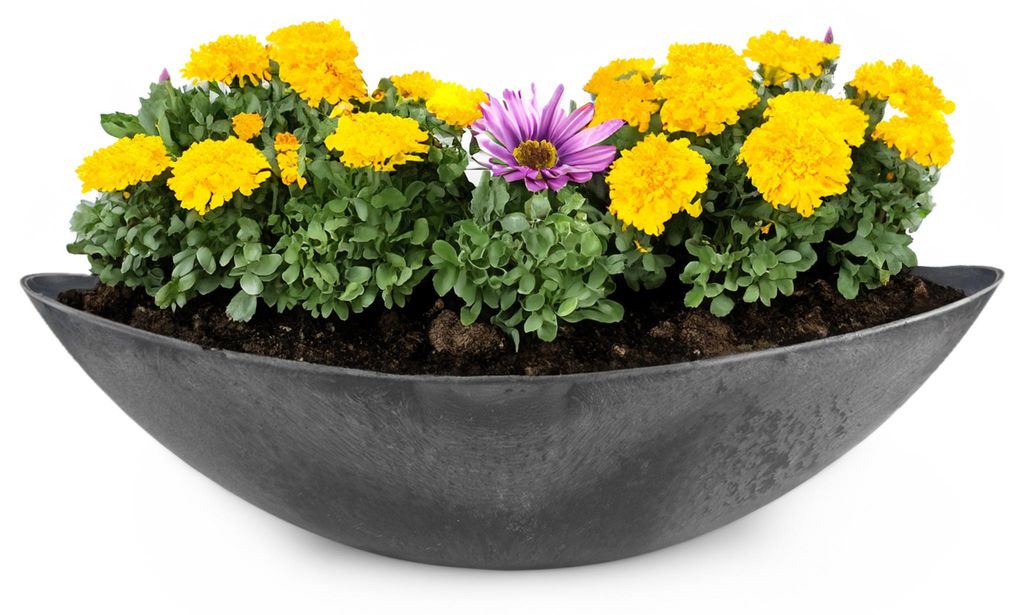 Große Vintage Outdoor Pflanzschale oval 55 cm schwarz Produktbild 