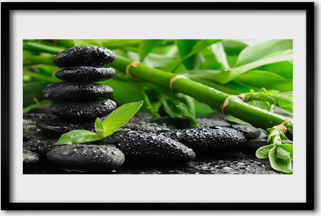 Bild 60x40 MDF-Rahmen Wandkunst Pflanze Bambussprossen