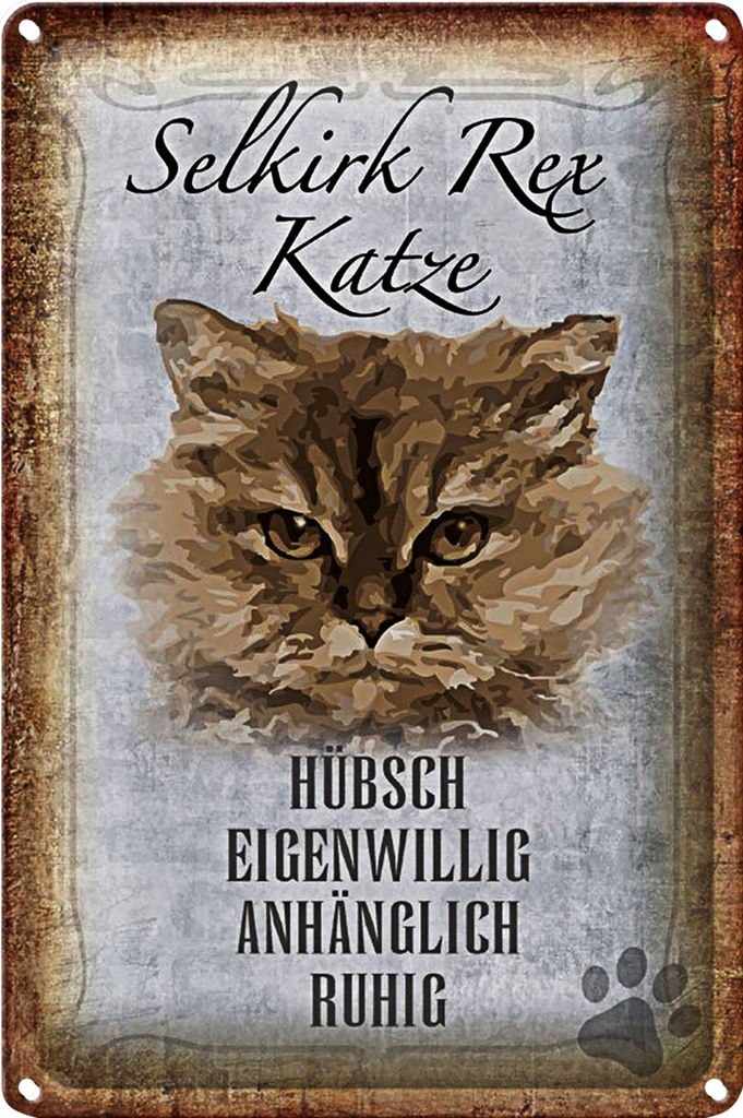 Blechschild Spruch 20x30cm Selkirk Rex Katze ruhig