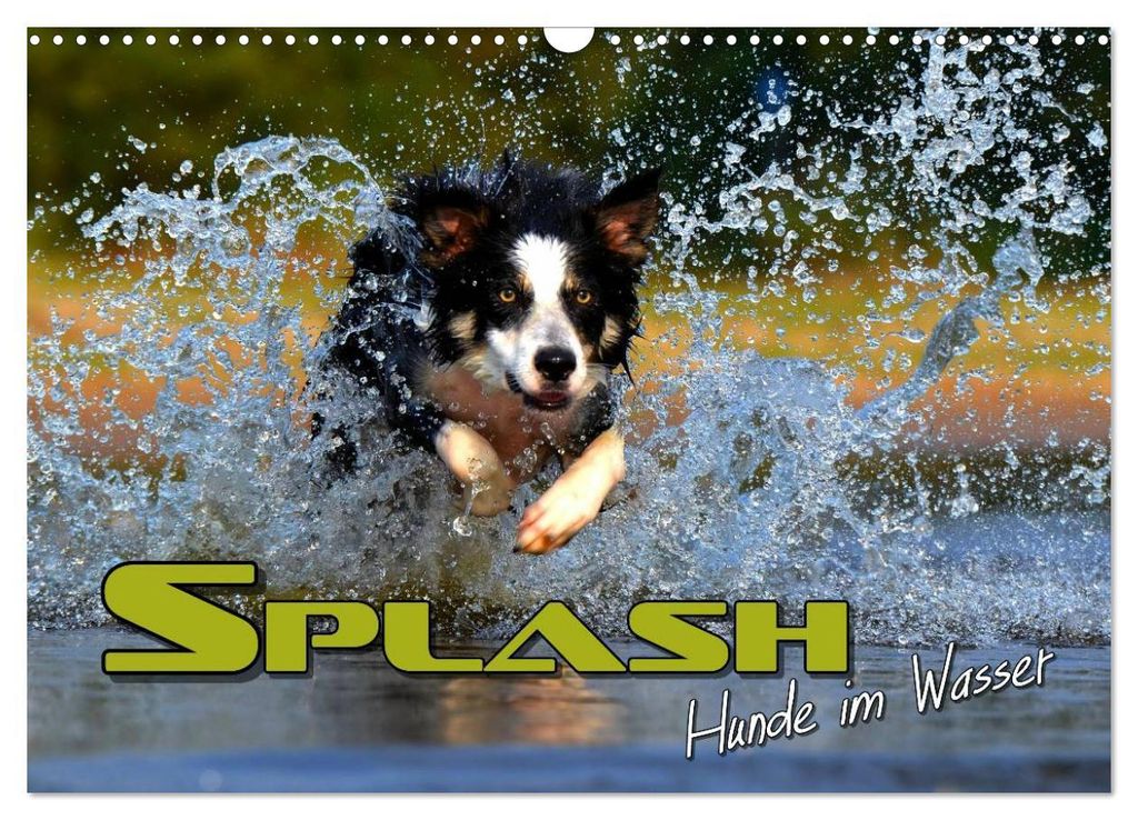 SPLASH - Hunde im Wasser (Wandkalender 2027 DIN A3 quer), CALVENDO Monatskalender