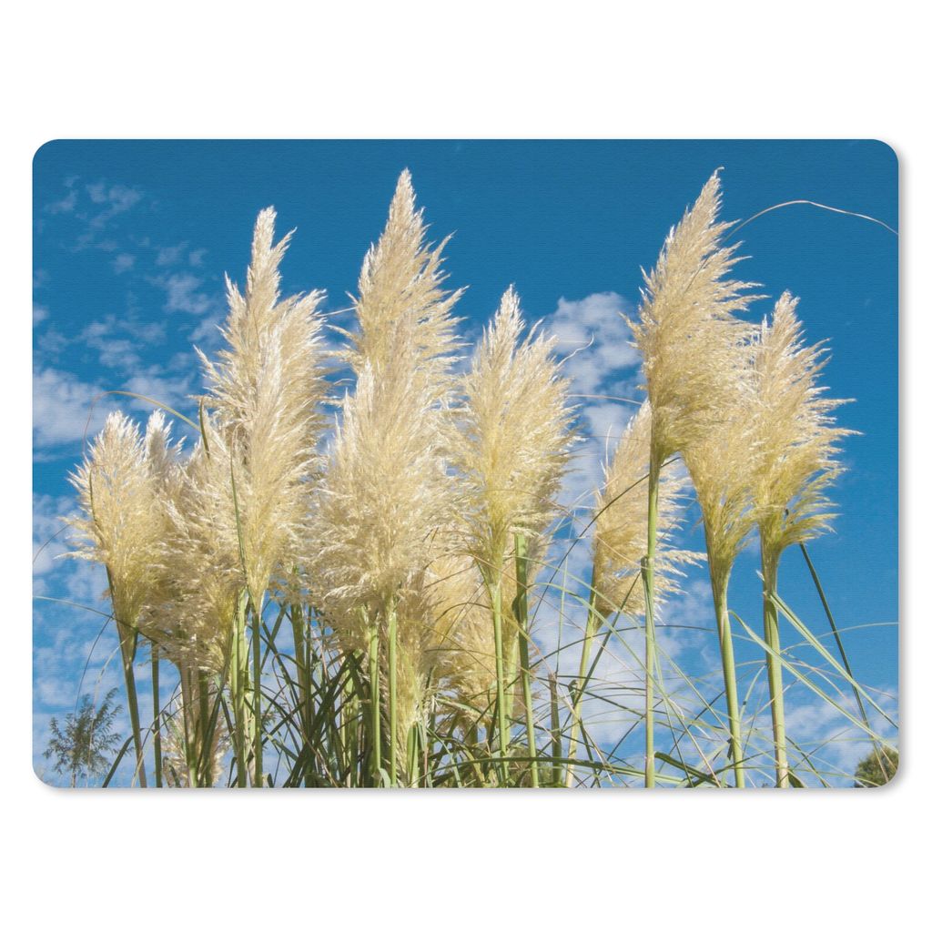 MuchoWow Mauspad Mousepad Pampasgras - Pflanze - Natur 40x30 cm - Mousepads - Maus Mat - Pad - Mausunterlage - Anti Rutsch