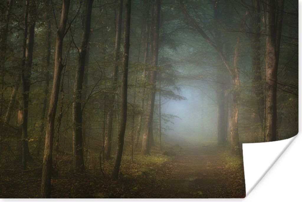 MuchoWow Poster Wald - Winter - Nebel - Weg mit Bäumen - Waldwege 120x80 cm - Bilder