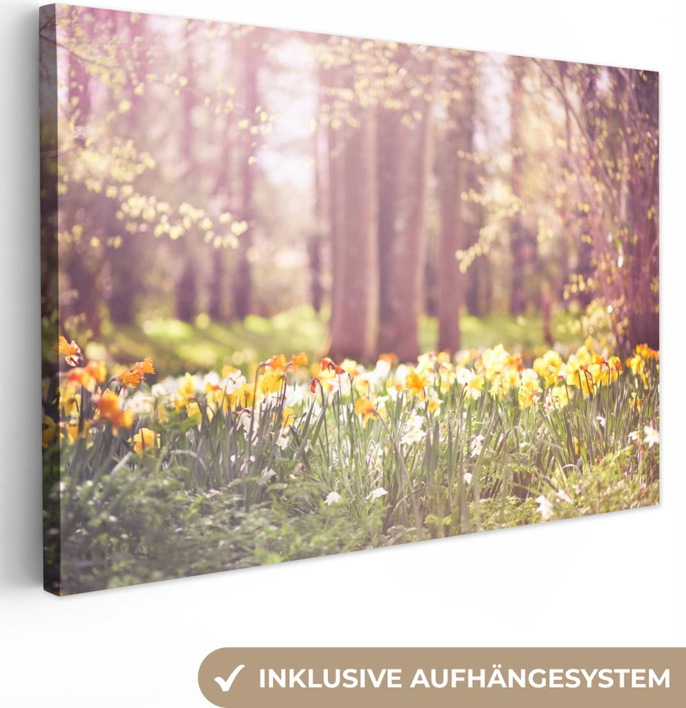 OneMillionCanvasses - Leinwandbilder - 150x100 cm, Frühling - Narzissen - Bäume, Wandbilder Kunstdruck Wanddekoration