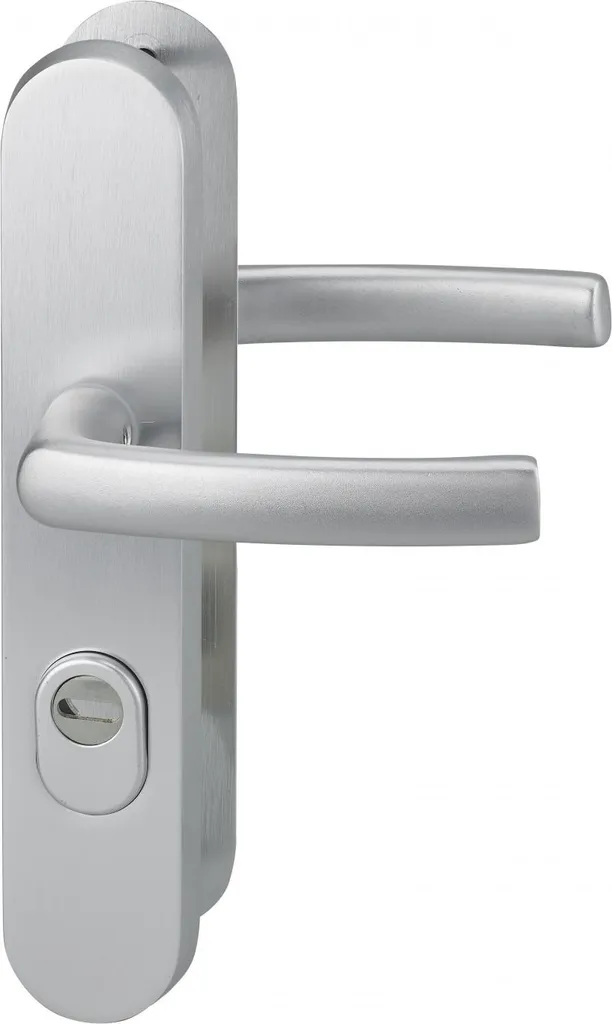 Poignée porte entrée Thirard pour sécuriser votre maison 216mm