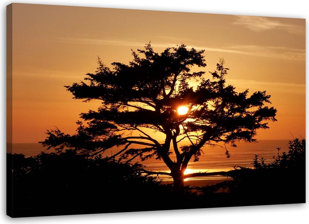 Leinwandbild baum am meer bei sonnenuntergang 100x70 cm Feeby orange wandbild bereit zum aufhängen