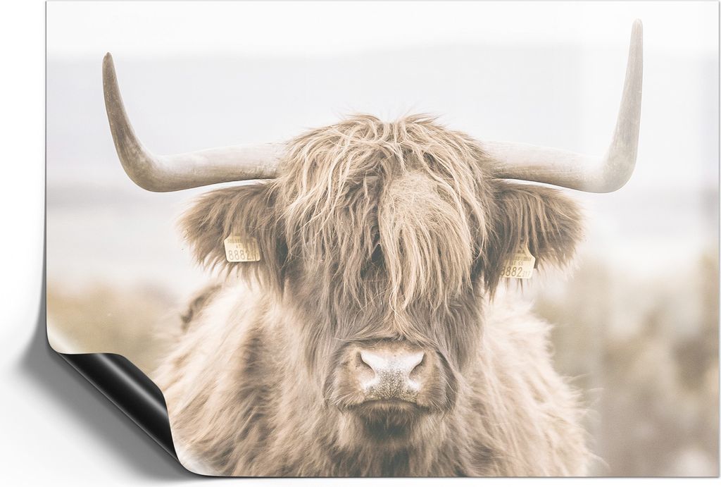 DEQORI Magnetmatte Universal 59x42 cm (A2) 'Geheimnise des Hochlands' Magnetfolie Kalender Planer