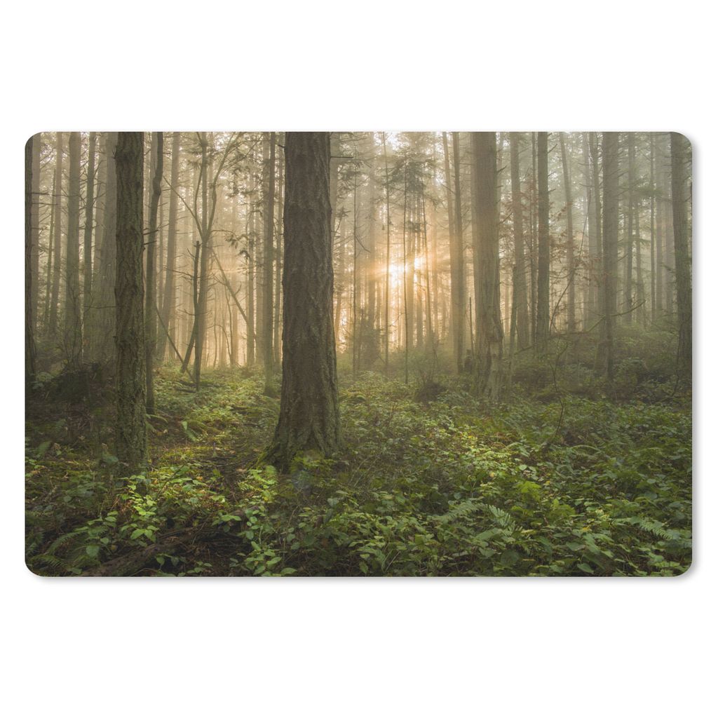 MuchoWow Schreibtischunterlage Wald - Sonne - Licht 60x40 cm - XXL Mauspad - Großes Mauspad