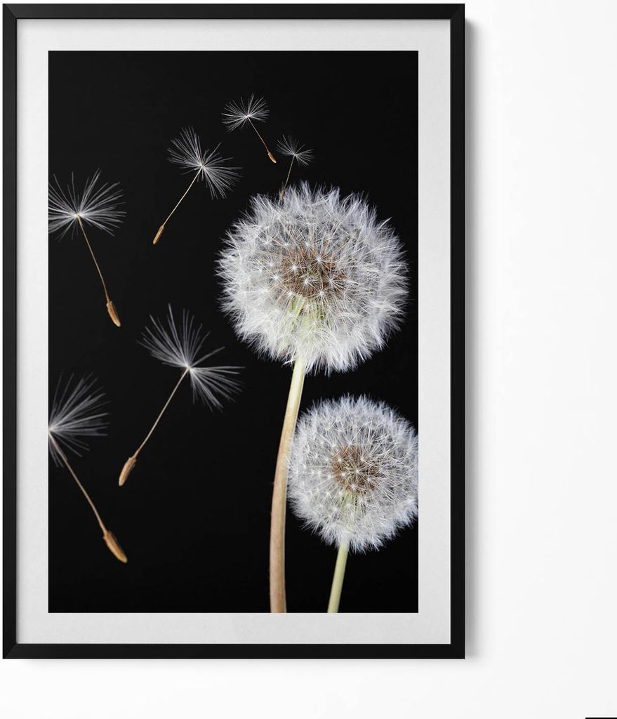Zwei Hüpfburgen– Wandbild mit Rahmen – Gerahmtes Bild – Wanddekoration – 70x100 cm – Schwarz Rahmen