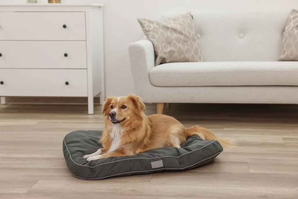 Matelas pour grand chien 100x70 cm Kerbl Jerome idéal pour sol carrelé