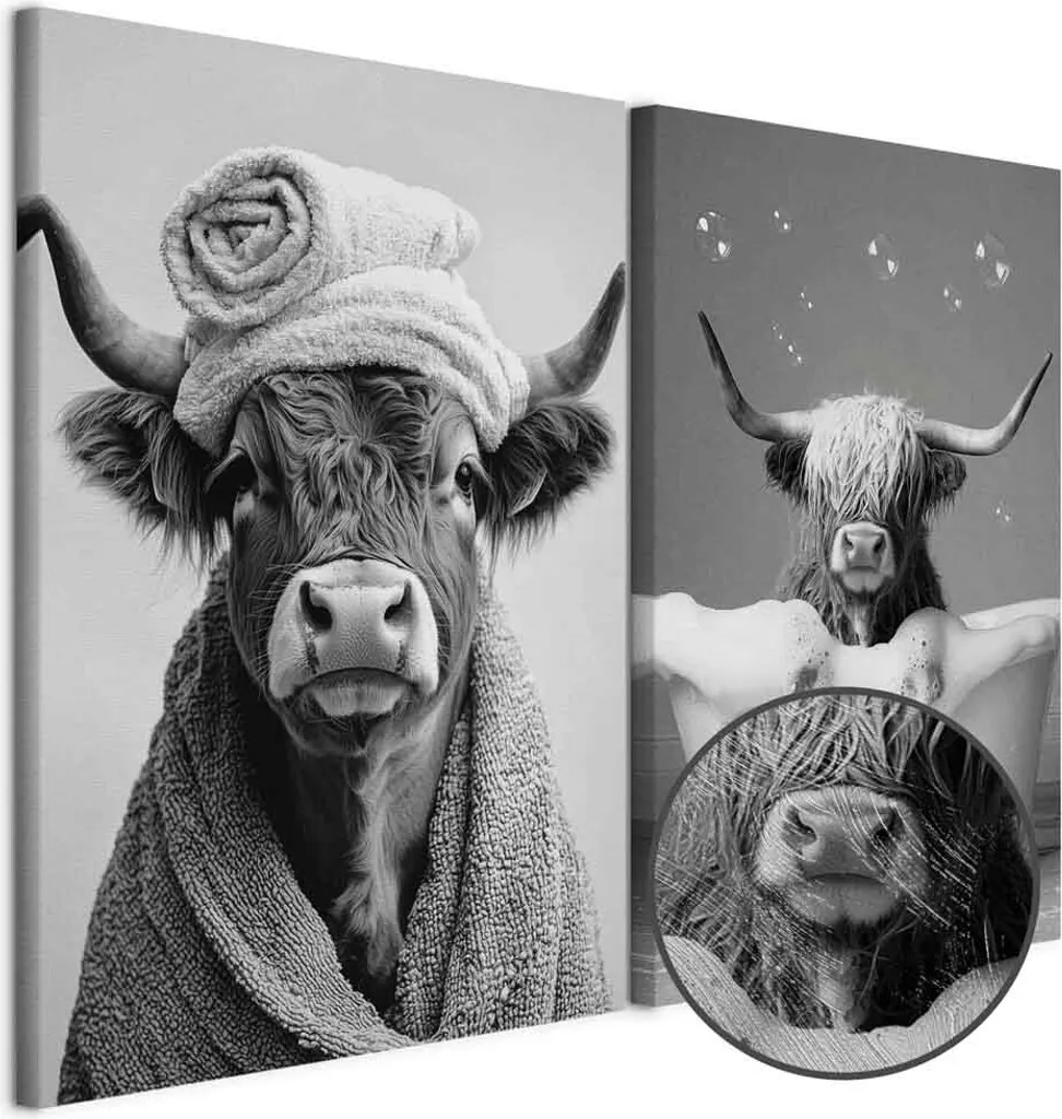 Mucca delle Highland in bagno. Divertente arredo per il bagno. Stampa