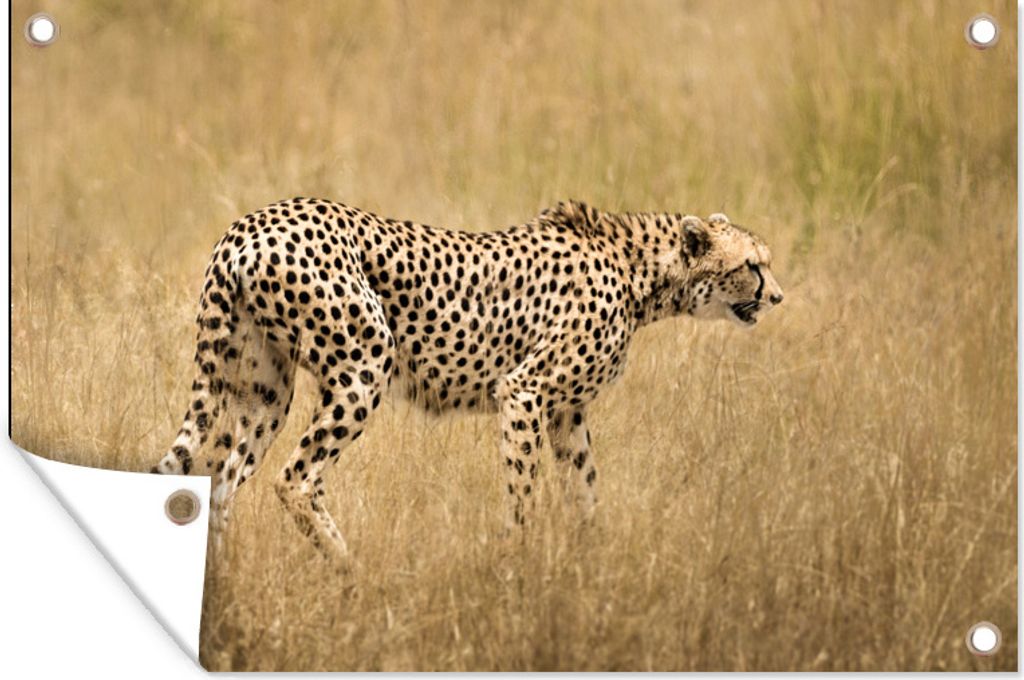 MuchoWow 120x80 cm Outdoor-Poster Gartendeko Sichtschutz Garten Poster für den Garten Leopard - Tarnung - Gras