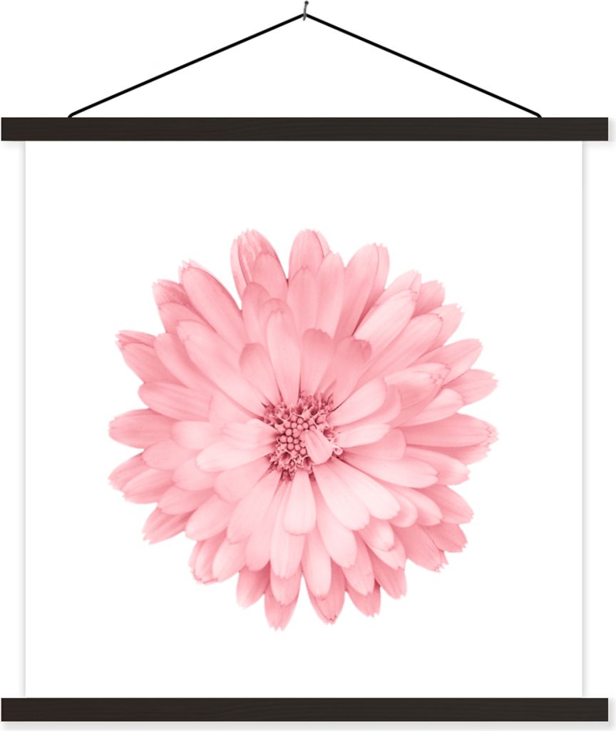 MuchoWow Textilposter Blumen - Rosa - Kamille 40x40 cm mit schwarzem Rahmen - Fotos