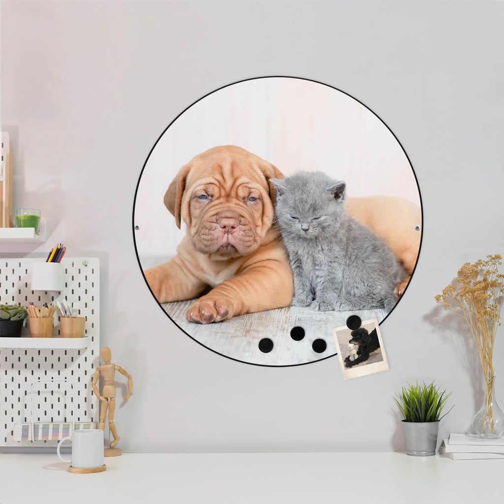 Design Stahlmagnettafel Schwarz Rund 47cm Hund und Katze