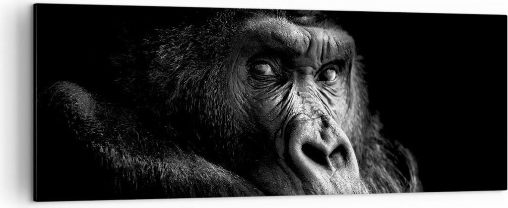 Bild auf Leinwand - Leinwandbild - Einteilig - Affe Gorilla Porträt - 140x50cm - Wand Bild - Wanddeko - Wandbilder - Leinwanddruck - Bilder - Wand...